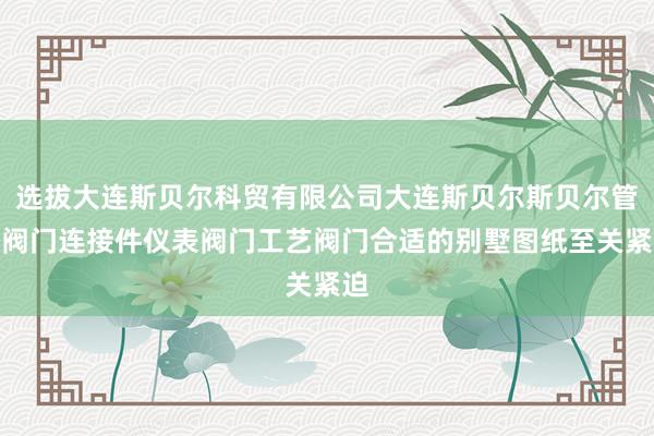 选拔大连斯贝尔科贸有限公司大连斯贝尔斯贝尔管件阀门连接件仪表阀门工艺阀门合适的别墅图纸至关紧迫